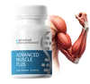 Advanced Muscle Plus - Illustration