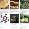 Advanced Joint Support - Ingredients