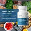 Advanced Mitochondrial Formula - Nutrients