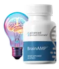 BrainAMP - Demo