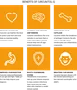 Curcumitol - Benefits