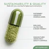 Pure Moringa - Overview